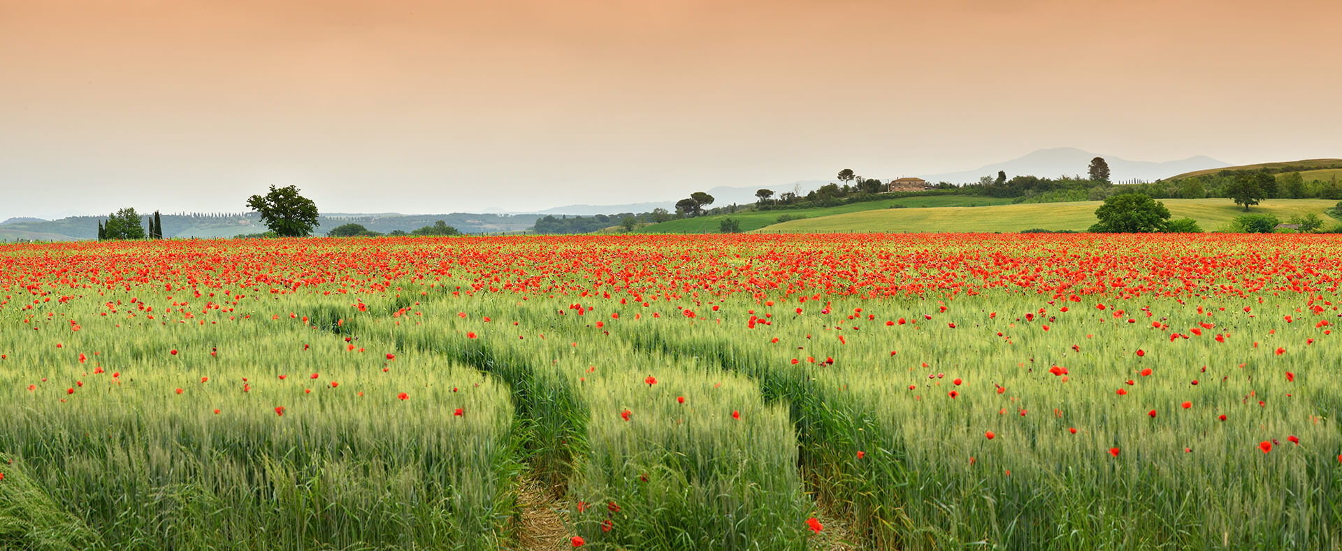 Camping La Herelle dans les Hauts-de-France, un camping nature authentique en plein cœur de la Somme